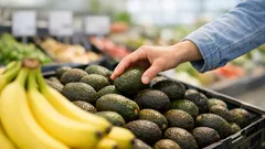Avocado statt Banane: so viel Kalium steckt wirklich in der grünen Frucht