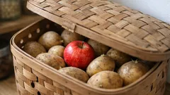 Kartoffeln lagern ohne Keime: So verlängert der Apfel-Trick die Haltbarkeit