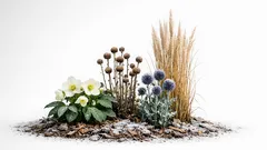 Winterharte Stauden: 10 robuste Pflanzen, die nach Frost zuverlässig wieder austreiben