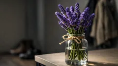 Lavendel im Eingangsbereich: der einfache Trick für einen Flur, der sofort frischer wirkt