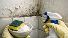 Feuchte Wände und Schimmel: Mit Essig und Natron reinigen und dauerhaft vorbeugen