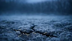 Wintersaat im Rasen: So schließt du Lücken, bevor der Frühling startet