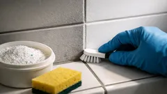 Graue Fugen im Bad reinigen: Mit Aktivsauerstoff in 10 Minuten sichtbar heller